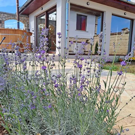 Villa становец *