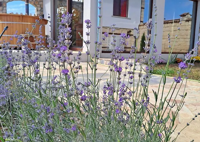 ヴィラ становец *